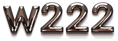 w222 logo